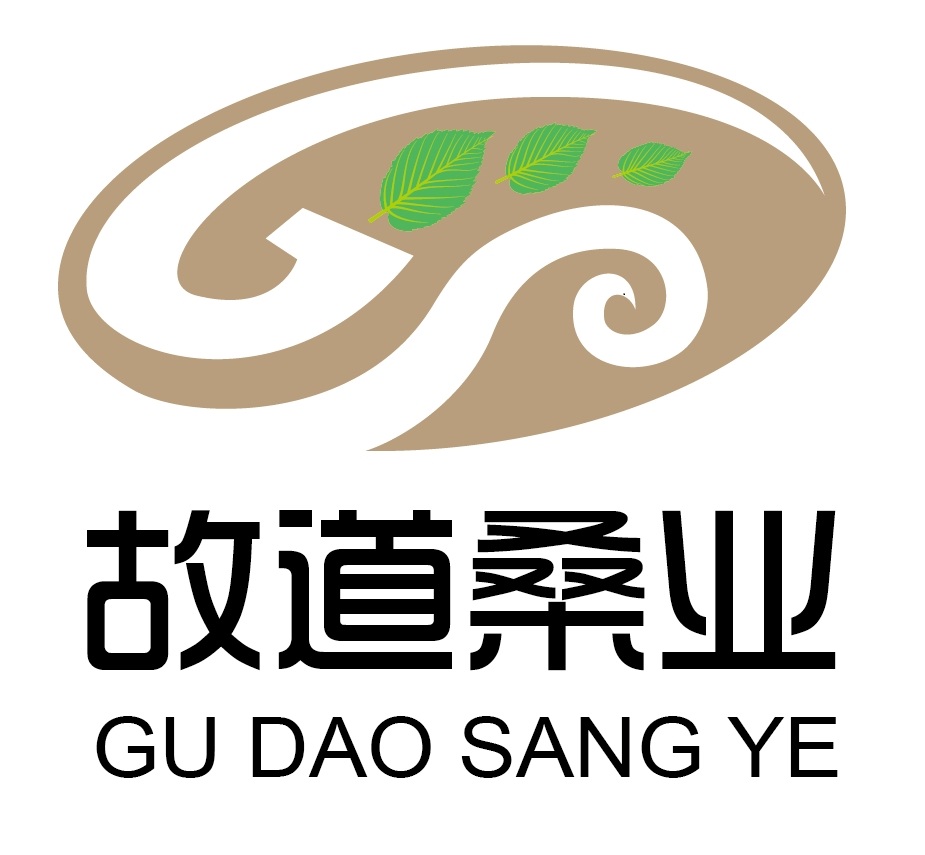 喝茶就可以防脫生發(fā)，太神奇了！桑葉養(yǎng)生茶